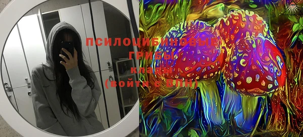 мдпв Мегион
