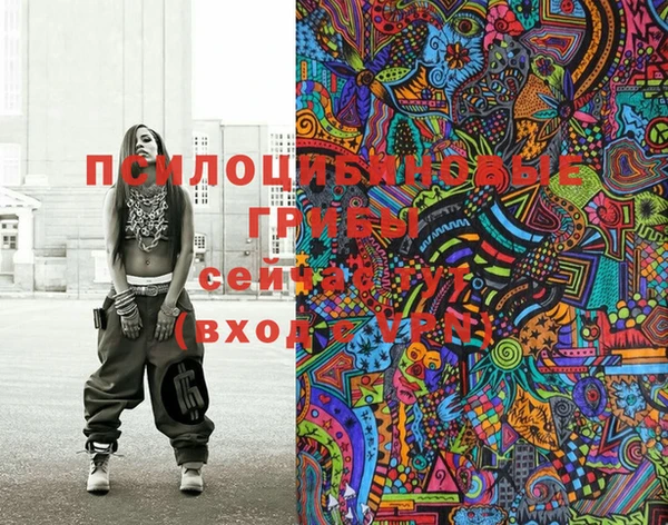 мдпв Мегион