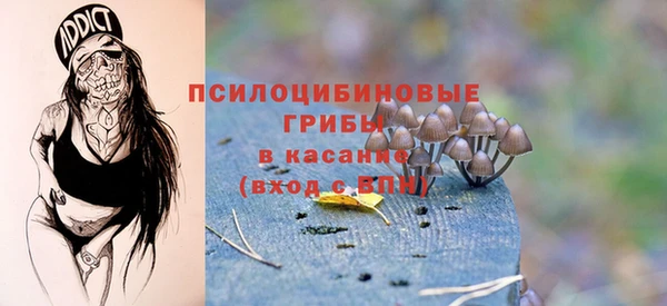 мдпв Мегион