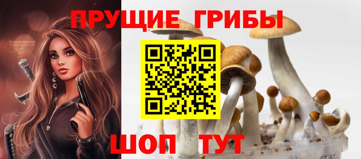 Псилоцибиновые грибы мухоморы  Галлюциногенные грибы Psilocybe  Вход с VPN  Уфа 